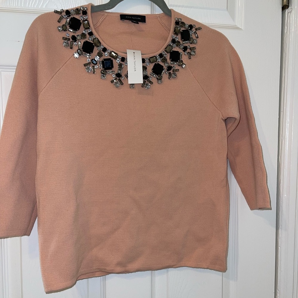 Ann Taylor Sweater